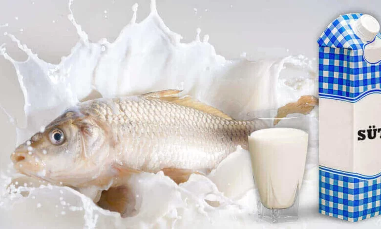 خوردن ماهی با لبنیات