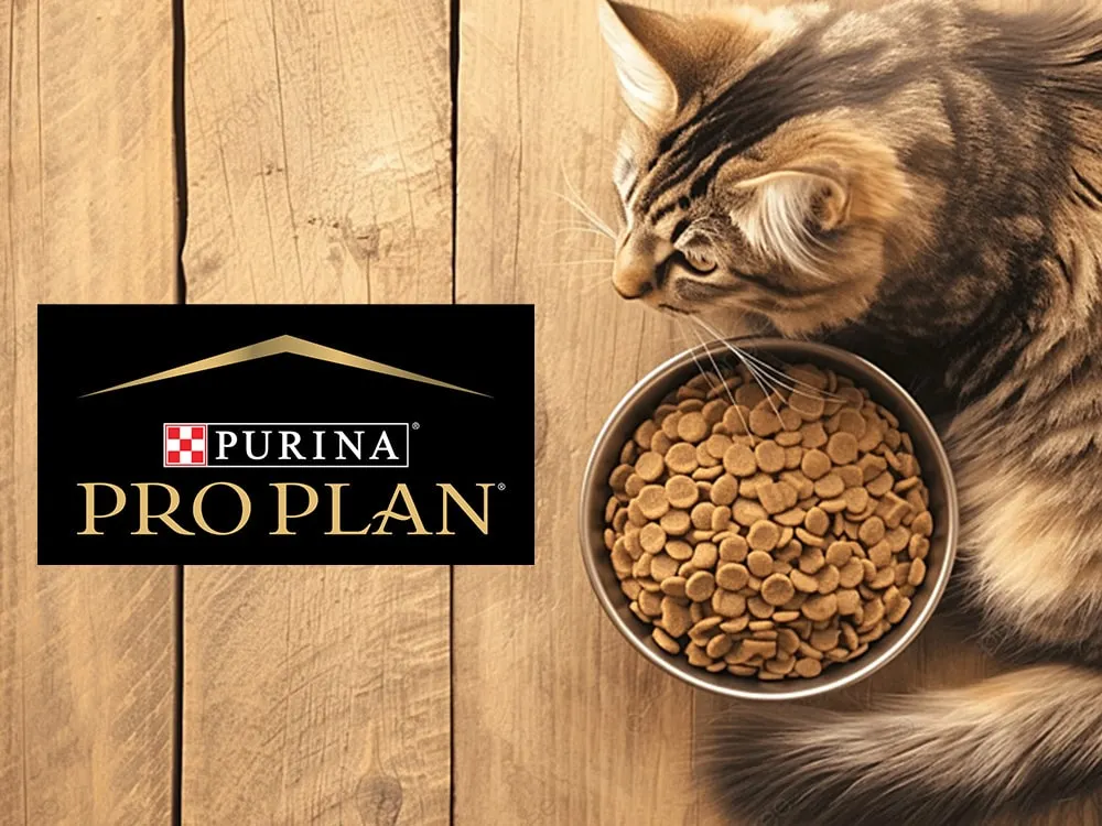 غذای خشک گربه پروپلن