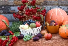 میوه‌های مناسب برای کودکان در پاییز