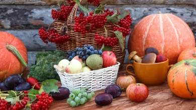 میوه‌های مناسب برای کودکان در پاییز