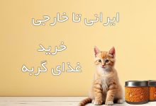 راهنمای جامع انتخاب و خرید غذای خشک گربه؛ از برندهای ایرانی تا خارجی