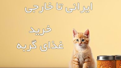 راهنمای جامع انتخاب و خرید غذای خشک گربه؛ از برندهای ایرانی تا خارجی